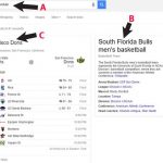 Google Search  Result Loses the Game for Tampa Family
